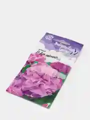 Петуния "Дуо лавандовый" семена цветов