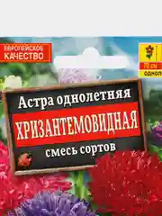 Астра Хризантемовидная, семена, цветы