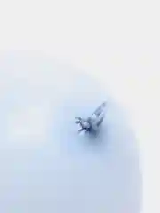 Шары воздушные, пастельные, 5 штук, 30 см