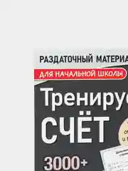 S Обучающая книга Тренируем счёт. Порядок действий в выражениях, 102 листа