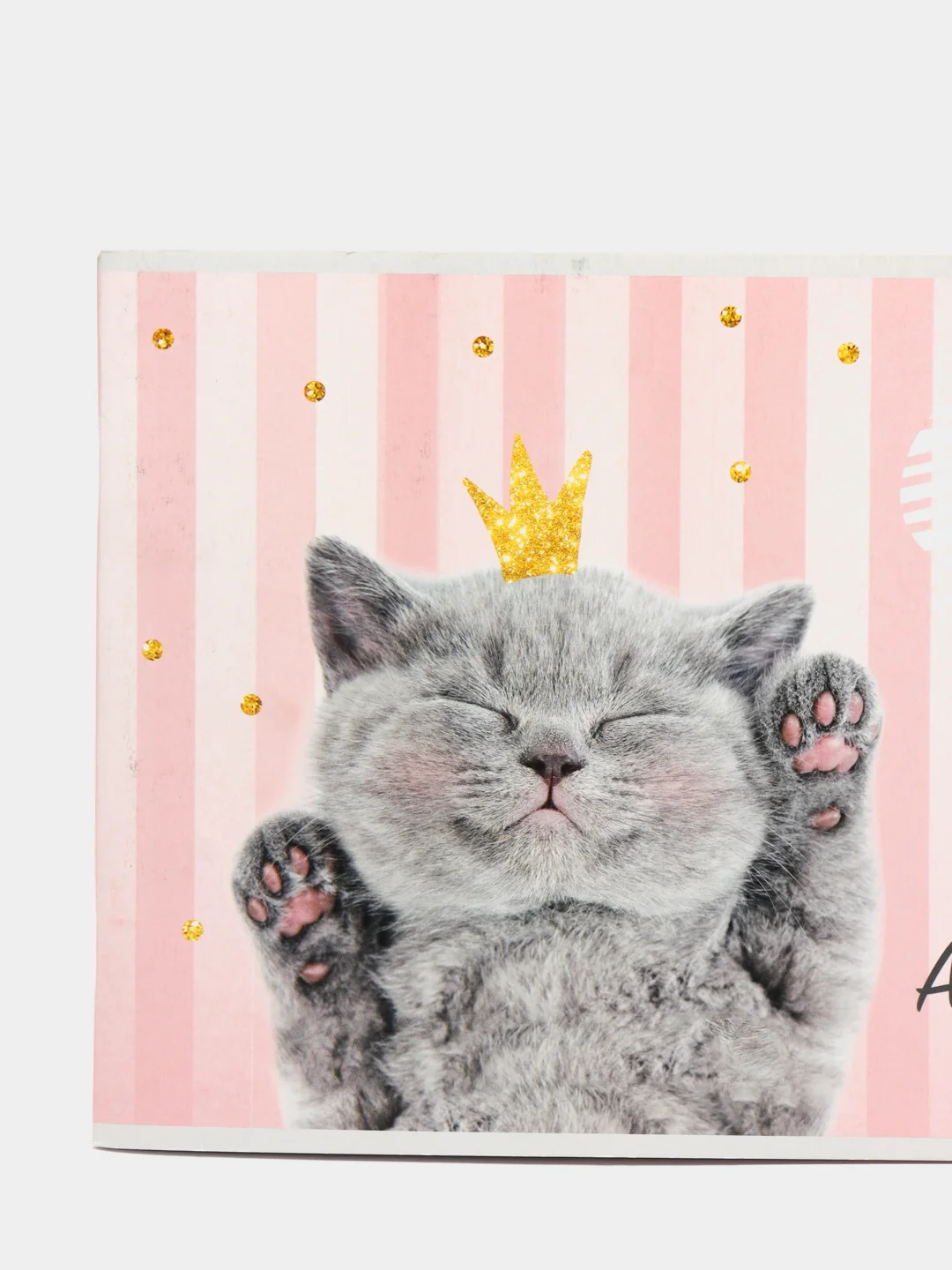 Альбом для рисования "Cat lady" А4, 40 листов на скрепке, обложка мелованный картон