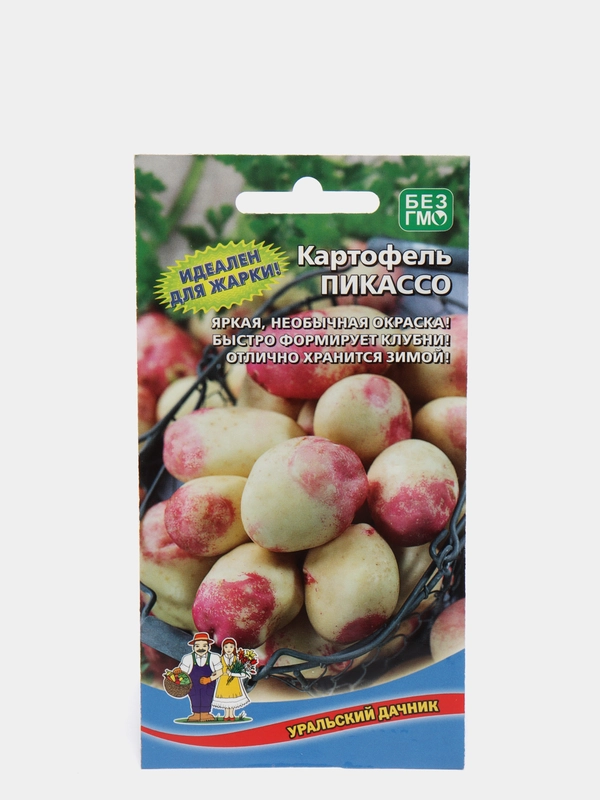 Картофель Пикассо (семена)