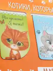 Оранжевый набор магнитных закладок для книг