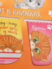 Оранжевый набор магнитных закладок для книг