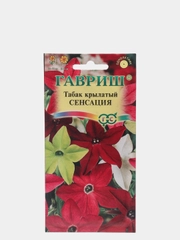 Семена Табак крылатый "Сенсация"