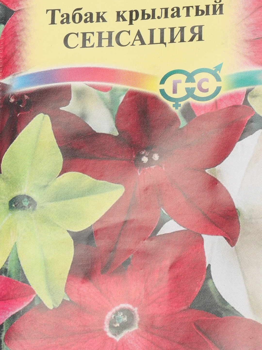 Семена Табак крылатый "Сенсация"