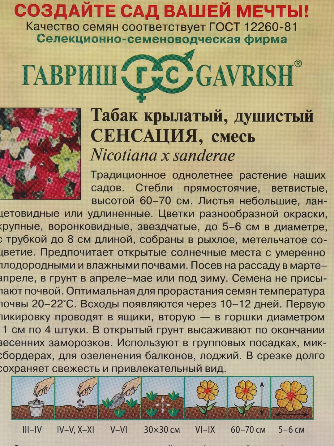 Семена Табак крылатый "Сенсация"