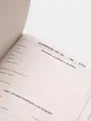 Зеленый дневник школьный в мягкой обложке