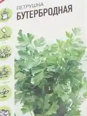 Семена Петрушка "Бутербродная", 2 г
