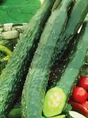 Огурец "Китайские палочки", семена