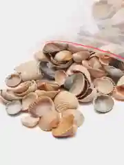 Грунт для аквариума "Ракушка морская, натуральная"