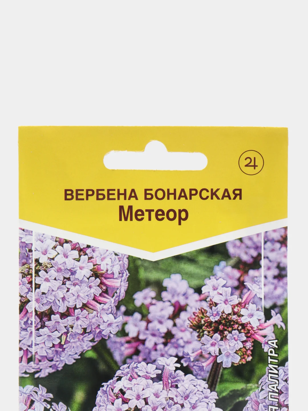 Купить Семена Вербены Бонарской В Интернет Магазине