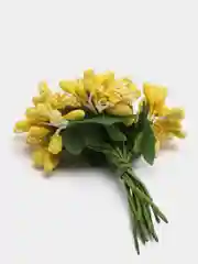 Желтый тычинки сахарные для цветов