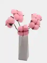 Розовый хлопок натуральный, сухоцветы, 10 штук
