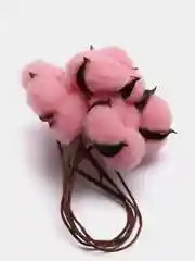 Розовый хлопок натуральный, сухоцветы, 10 штук