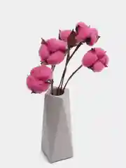 Фуксия хлопок натуральный, сухоцветы, 10 штук