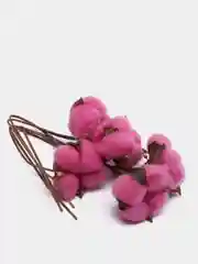 Фуксия хлопок натуральный, сухоцветы, 10 штук