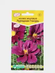 Космос махровый ПУРПУРНАЯ ГЛАЗУРЬ, семена цветов