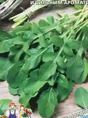 Салат Руккола Ореховая