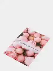 Розовый открытка для подарка