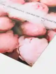Розовый открытка для подарка