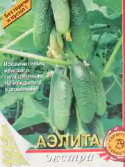 Огурец "Внучок" (семена)
