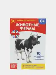Книги-карточки Домана на английском языке