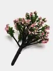 Желтый цветочное дерево, сувенир