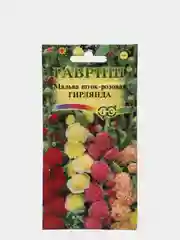 Мальва Гирлянда (семена,цветы)