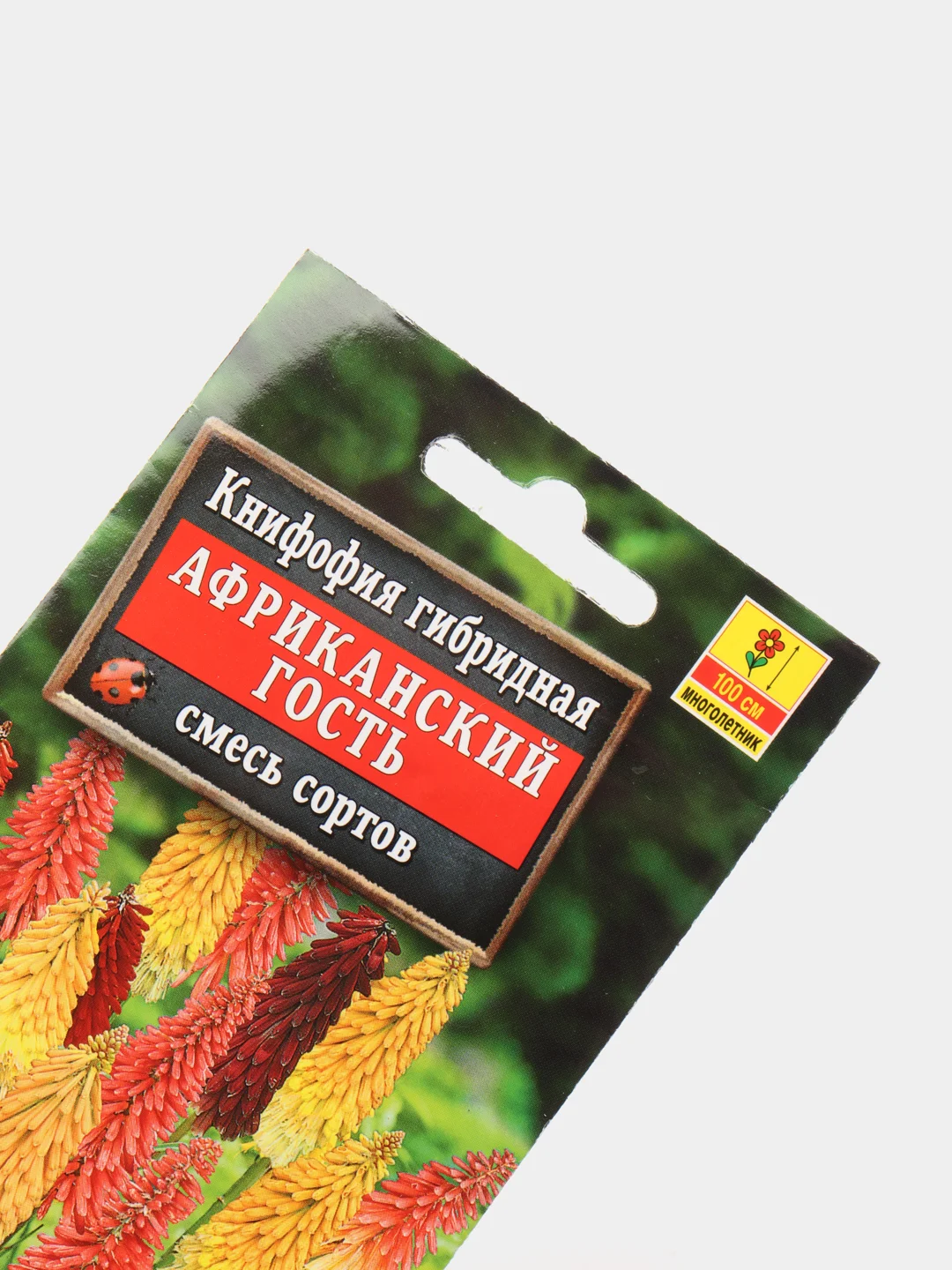 Книфофия Африканский гость, семена, цветы