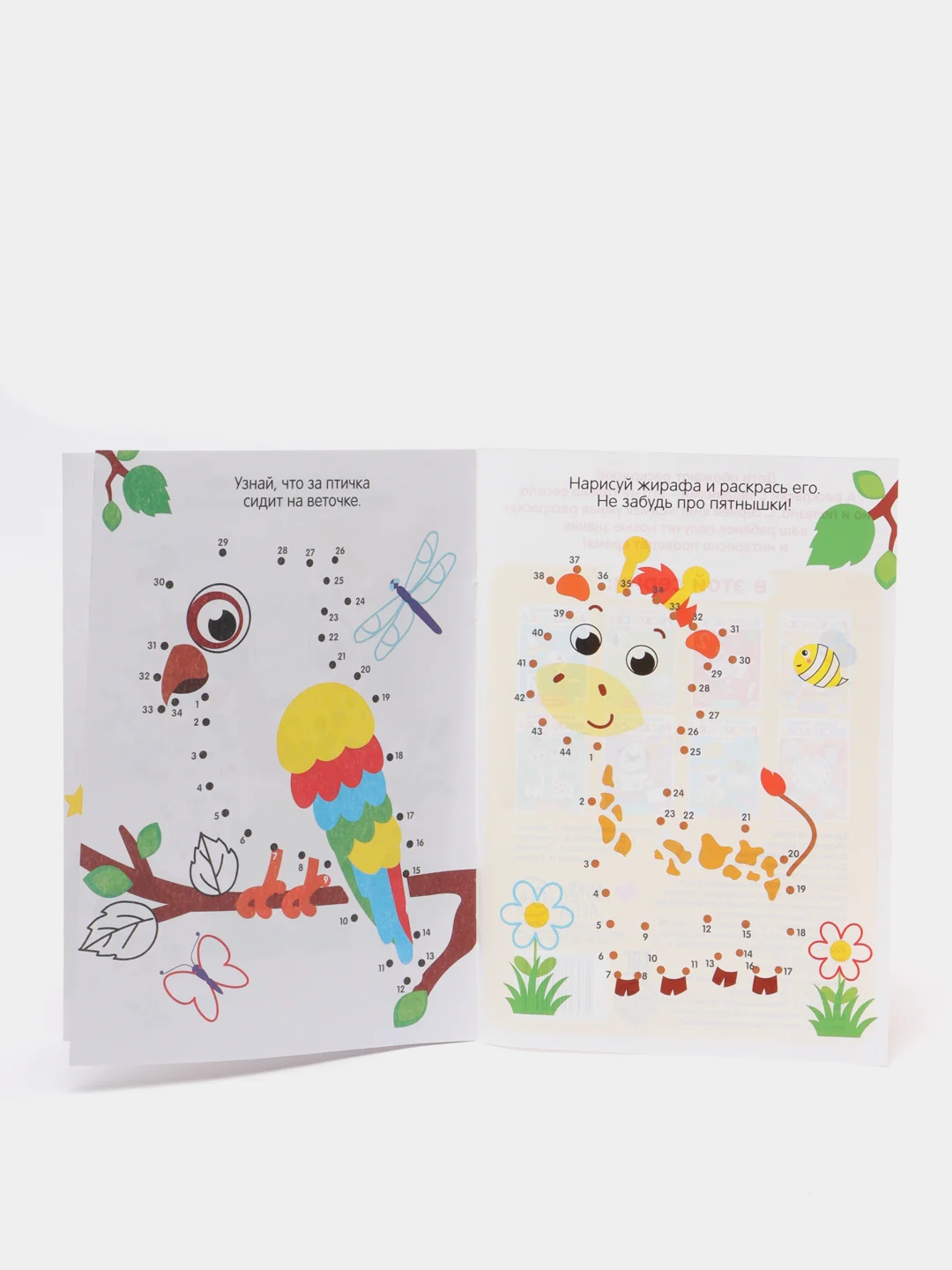 Раскраски по номерам детские, 5+