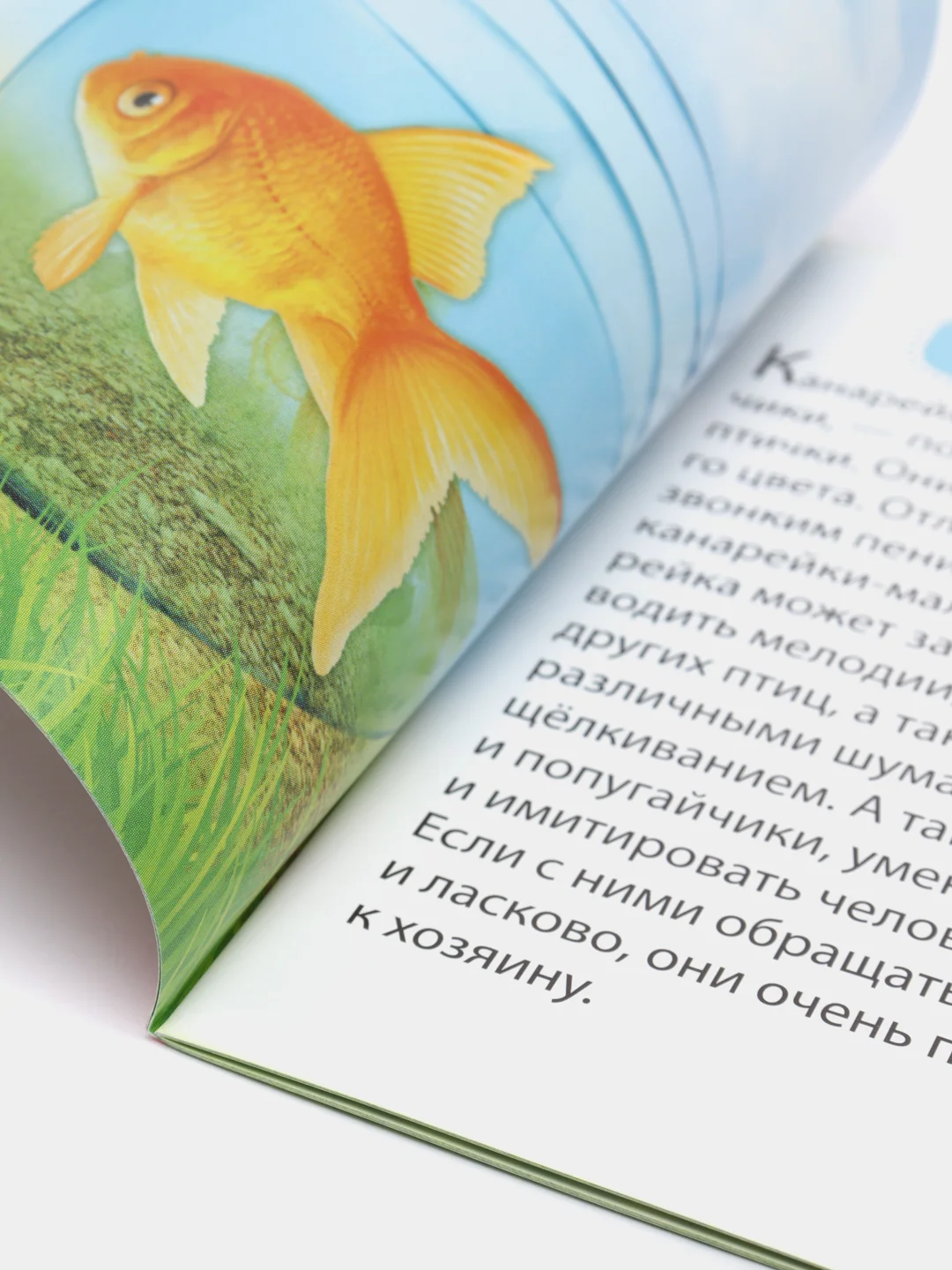 Обучающие книжки "Узнаём про всё вокруг", набор 6 штук, 108 животных и птиц