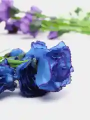 Искусственные цветы Кустовые гвоздики, букет, 60 см, цветы, гвоздики, декор для дома, ваза