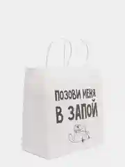 Падарочный пакет "С Дэ Рэ", 22х22х11 см (4 вида)