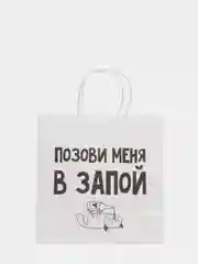 Падарочный пакет "С Дэ Рэ", 22х22х11 см (4 вида)