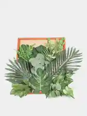 Зеленый картина из искусственных растений, 40х30 см