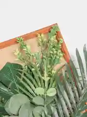 Зеленый картина из искусственных растений, 40х30 см