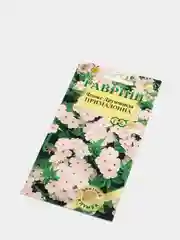 Флокс Примадонна, семена, цветы