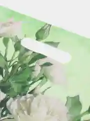Золотой пакеты полиэтиленовые, разные виды