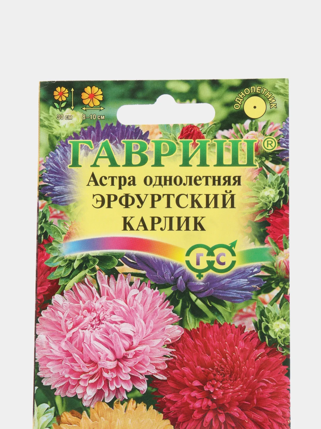 Астра "Эрфуртский карлик", семена, цветы
