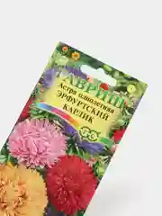 Астра "Эрфуртский карлик", семена, цветы