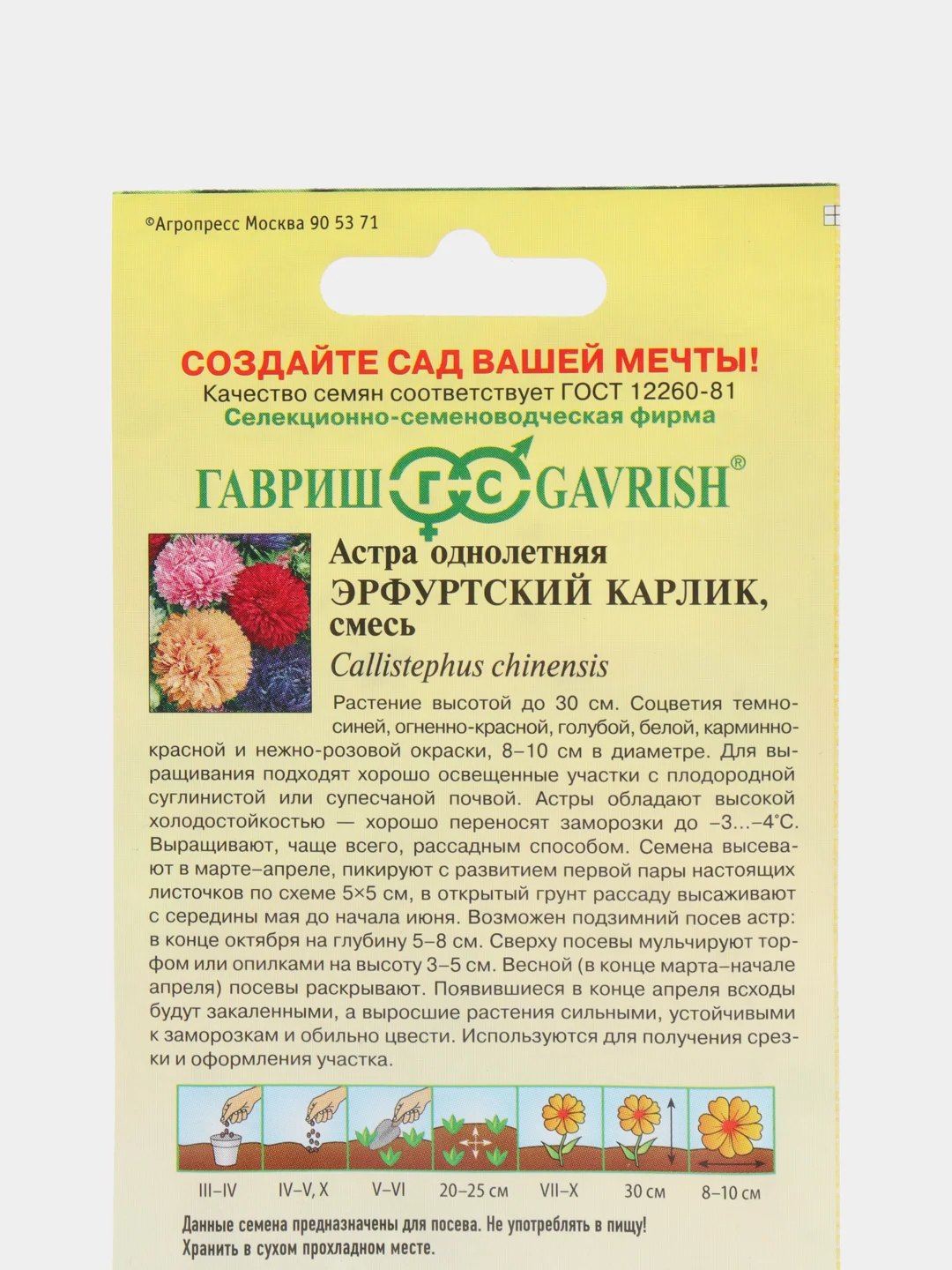Астра "Эрфуртский карлик", семена, цветы