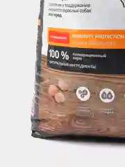 Корм сухой ProBalance "Immuno Adult" для взрослых собак, с говядиной, 15 кг