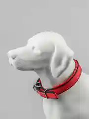 Коралловый ошейник нейлоновый, для собак и кошек, с подкладкой, разные цвета