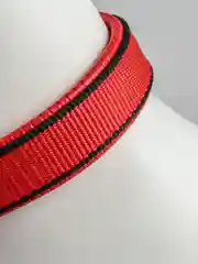 Коралловый ошейник нейлоновый, для собак и кошек, с подкладкой, разные цвета