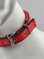 Коралловый ошейник нейлоновый, для собак и кошек, с подкладкой, разные цвета
