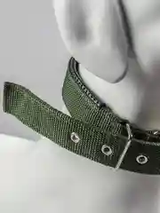 Зеленый ошейник нейлоновый, для собак и кошек, с подкладкой, разные цвета