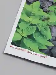 Семена базилика "Ароматный сбор"