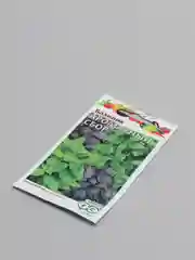 Семена базилика "Ароматный сбор"