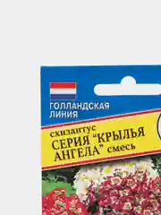 Семена цветы Схизантус Крылья ангела
